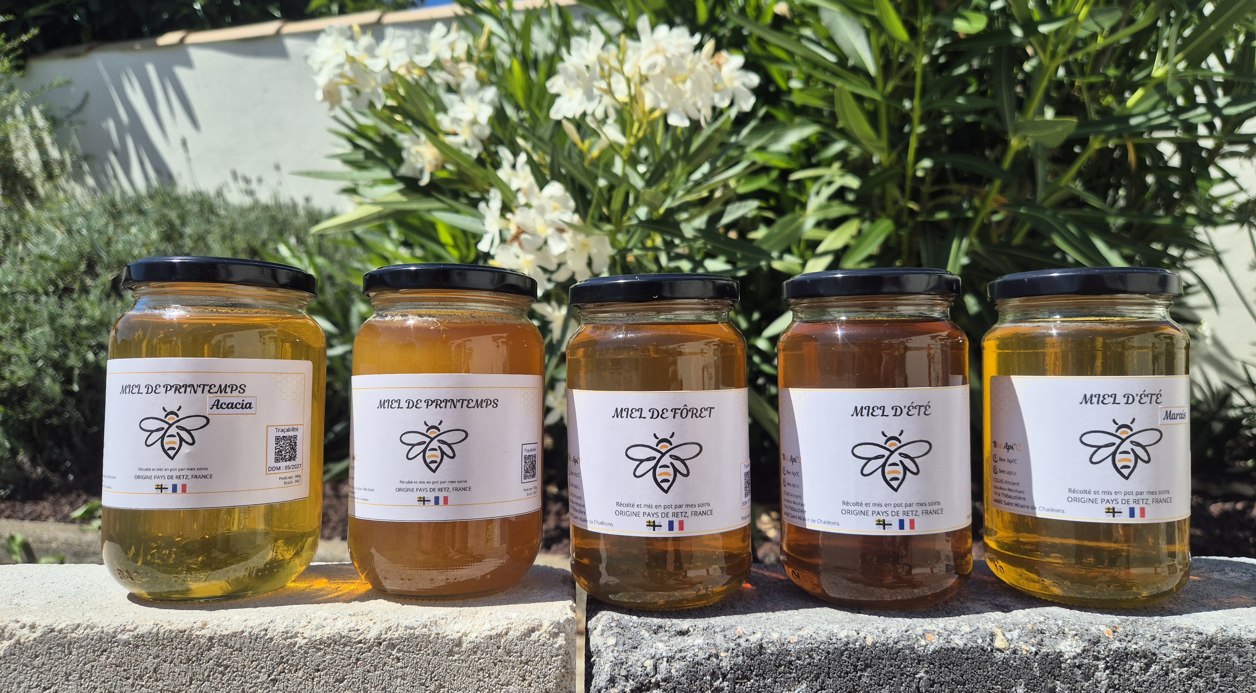 Cadre de miel de qualité premium
